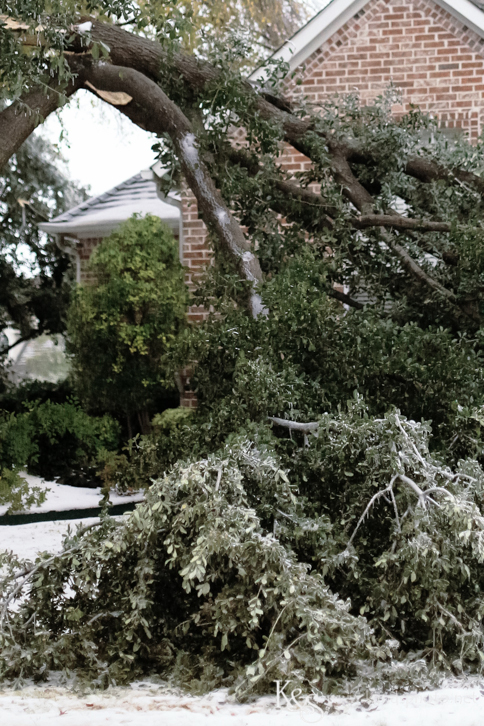 Dallas Wedding Photographers - K & S Photography